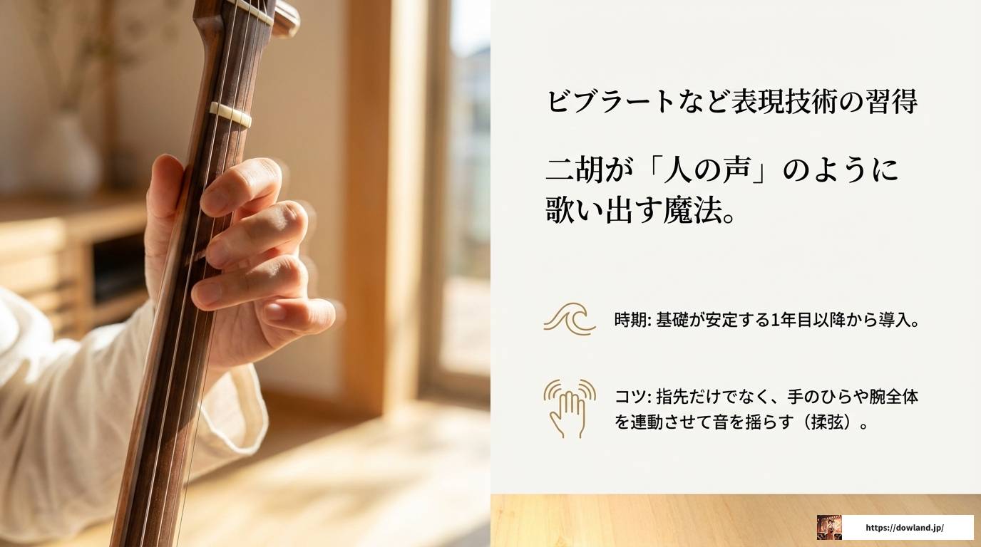 二胡の難易度を徹底解説！初心者が上達する練習法と習得期間の目安