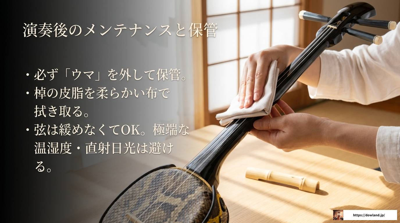 三線の弦張り替え完全ガイド｜結び方から調弦・失敗対策まで