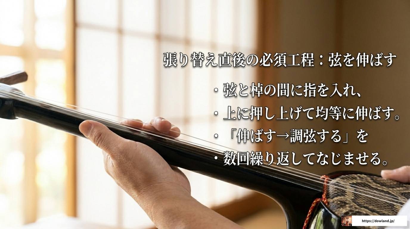 三線の弦張り替え完全ガイド｜結び方から調弦・失敗対策まで