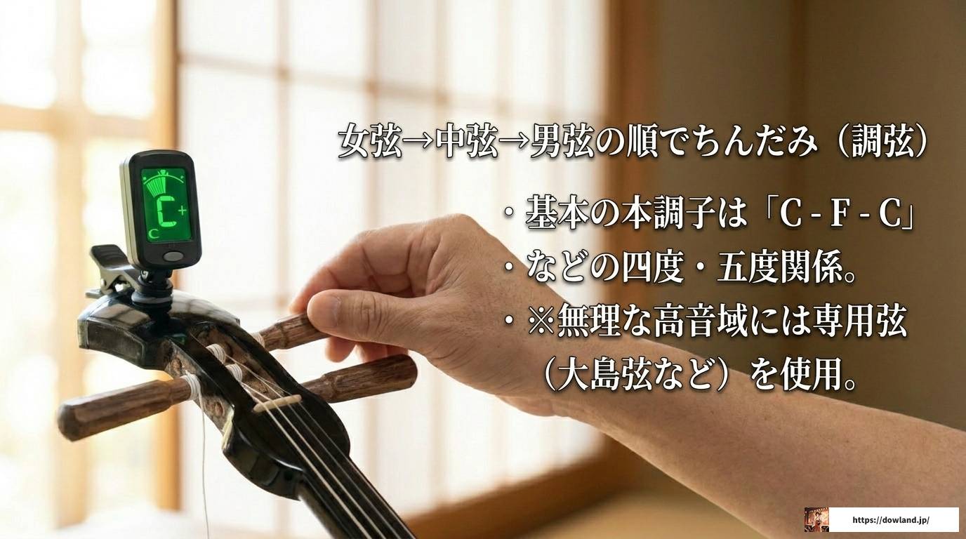 三線の弦張り替え完全ガイド｜結び方から調弦・失敗対策まで