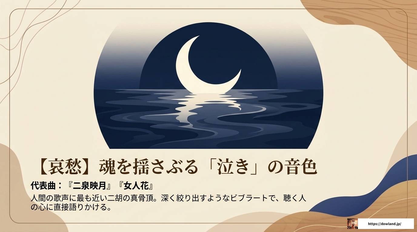 二胡でかっこいい曲を弾こう!レベル別おすすめ名曲ガイド
