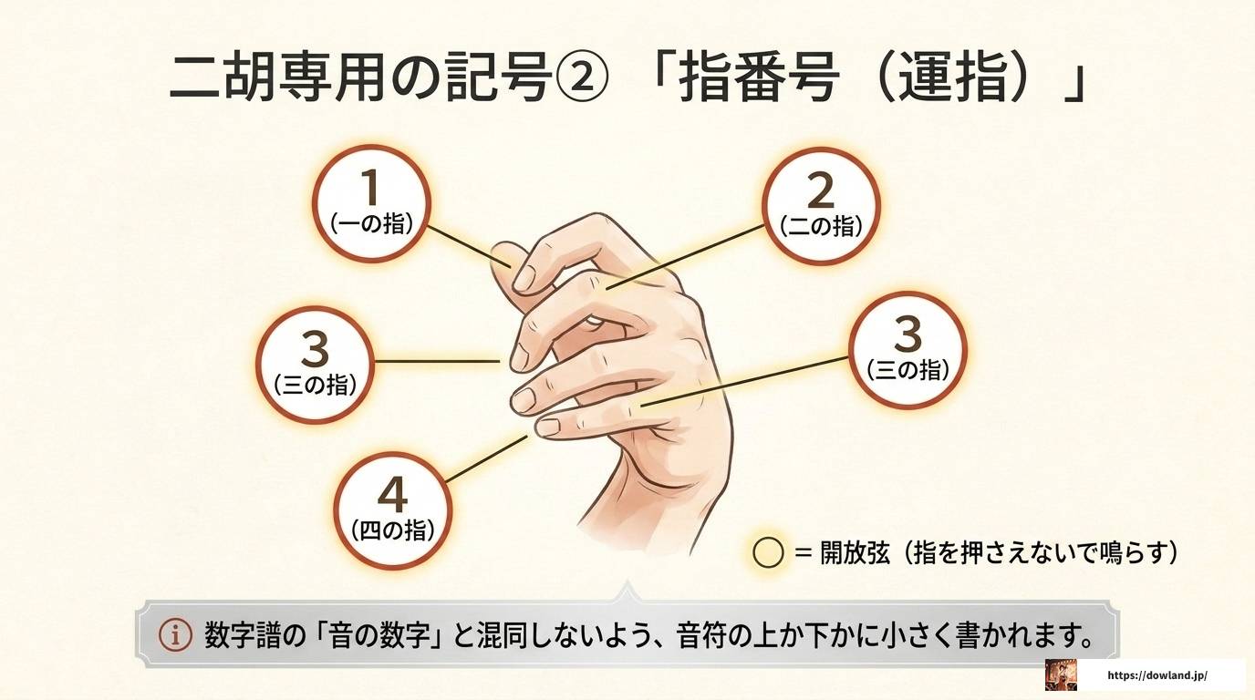 二胡の楽譜の読み方を完全解説!数字譜の基礎から実践まで