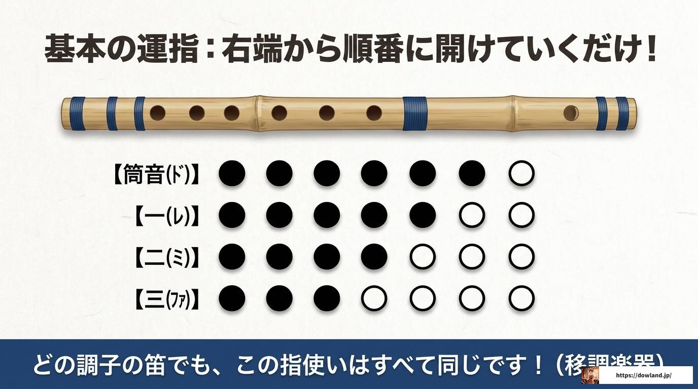 篠笛6穴の音階を徹底解説!7穴との違いと運指まとめ