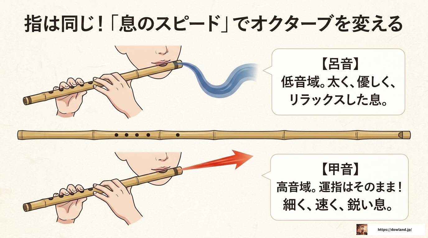 篠笛6穴の音階を徹底解説!7穴との違いと運指まとめ