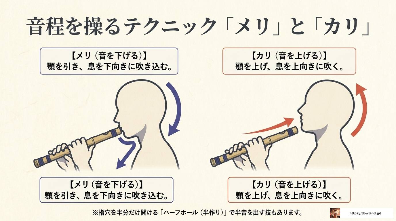 篠笛6穴の音階を徹底解説!7穴との違いと運指まとめ